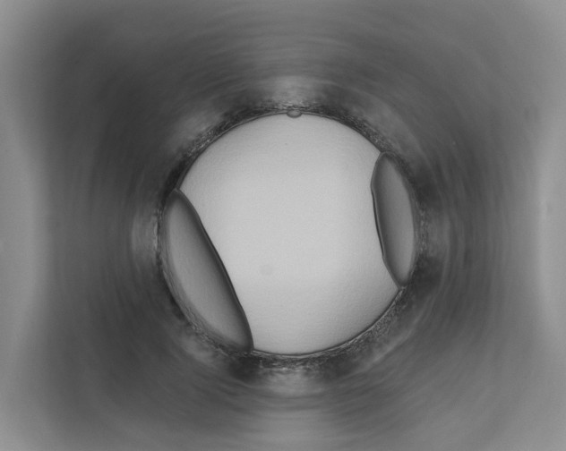 X0000111820740200909031450