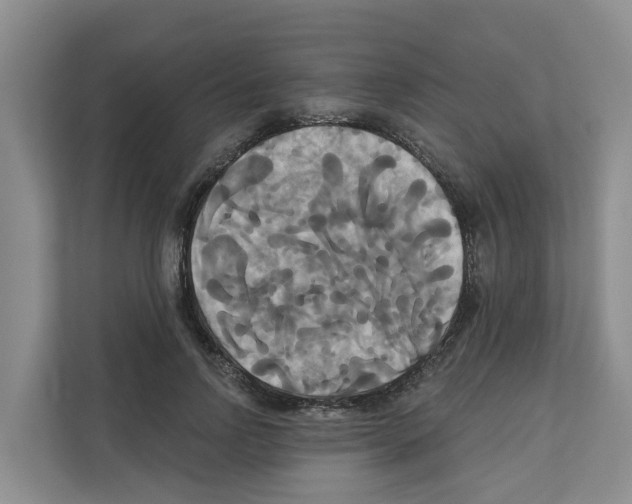 X0000111820742200909031450