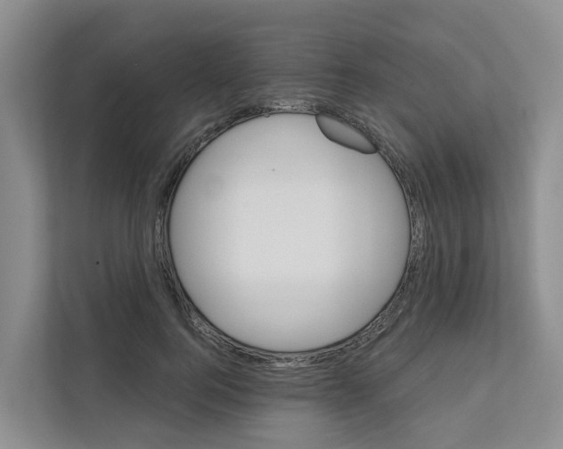 X0000111820744200909031450