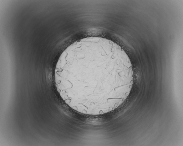 X0000111820745200909031450