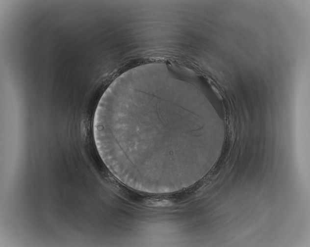 X0000111820747200909031450