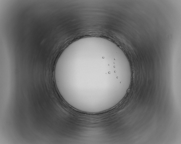 X0000111820748200909031450