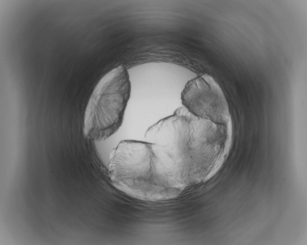 X0000111820749200909031450