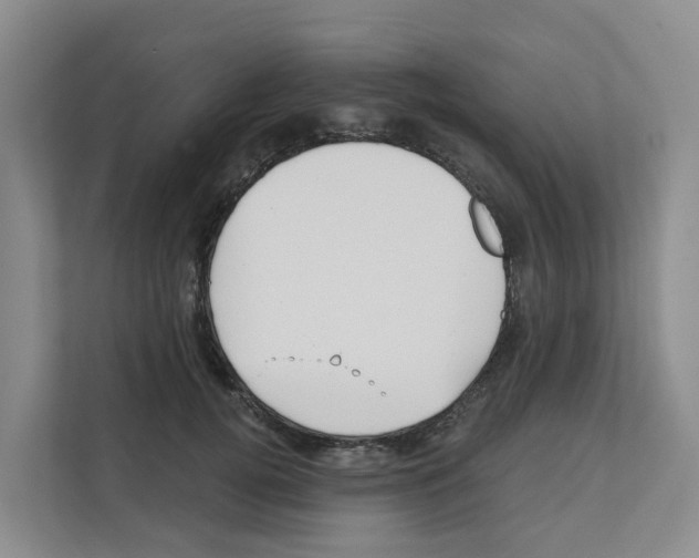 X0000111820752200909031450