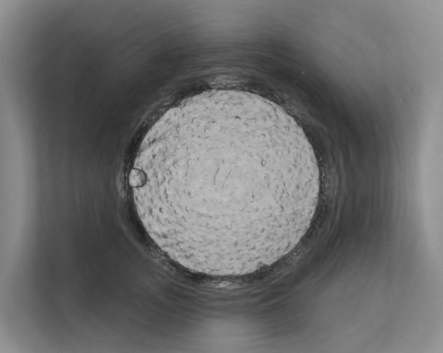 X0000111820755200909031450