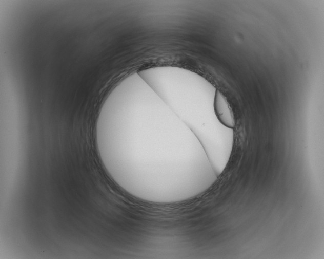 X0000111820756200909031450