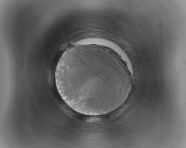 X0000111820759200909031450