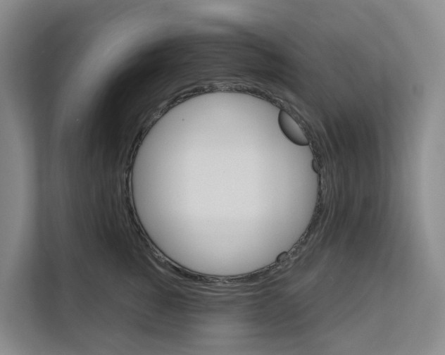 X0000111820760200909031450
