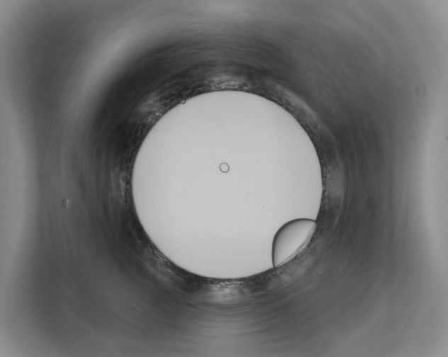 X0000111820761200909031450