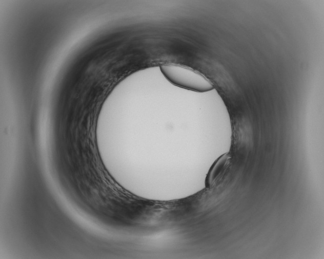 X0000111820764200909031450