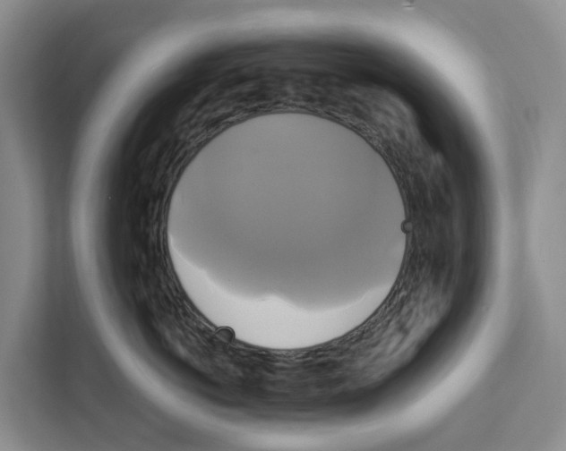 X0000111820766200909031450
