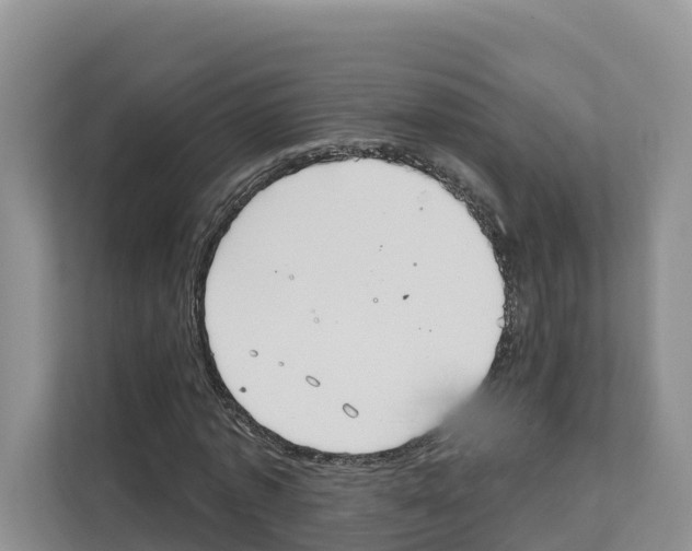 X0000111820773200909031450