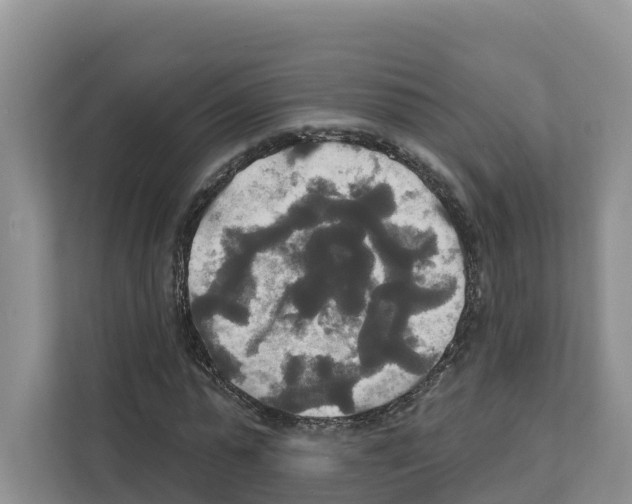X0000111820775200909031450