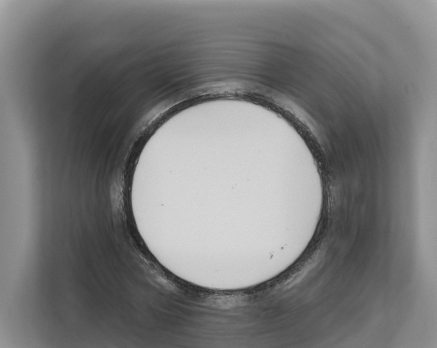 X0000111820778200909031450