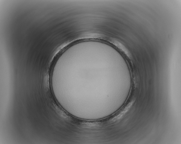 X0000111820781200909031449