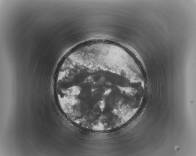 X0000111820783200909031449