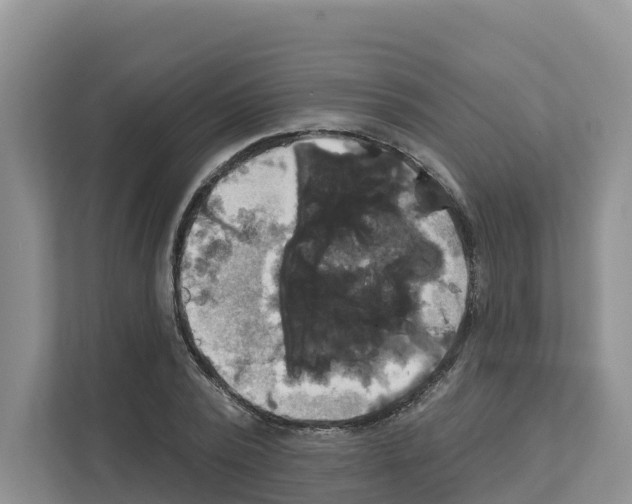 X0000111820784200909031449