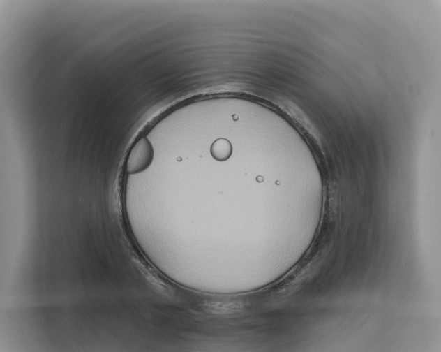 X0000111820789200909031449