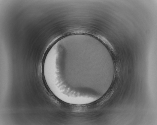 X0000111820790200909031449