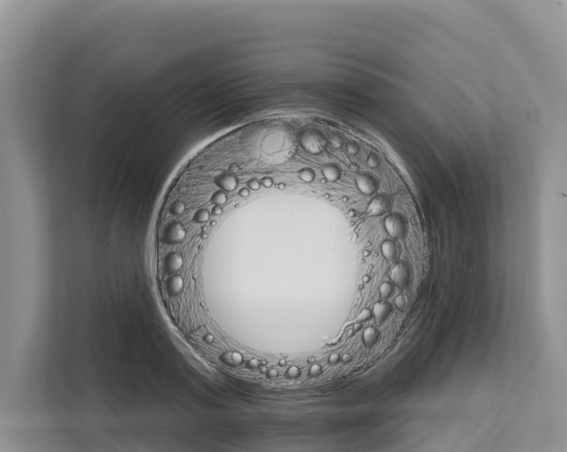X0000111820795200909031449