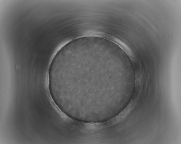 X0000111820804200909031449