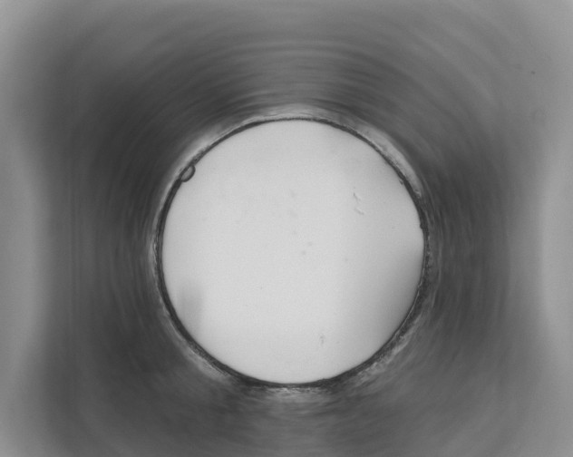 X0000111820805200909031449