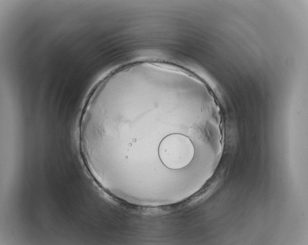 X0000111820807200909031449
