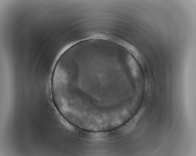X0000111820808200909031449