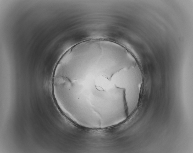 X0000111820810200909031449