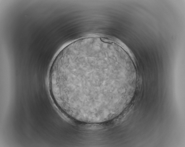 X0000111820811200909031449