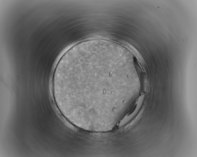 X0000111820812200909031449