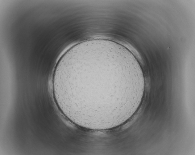 X0000111820814200909031449
