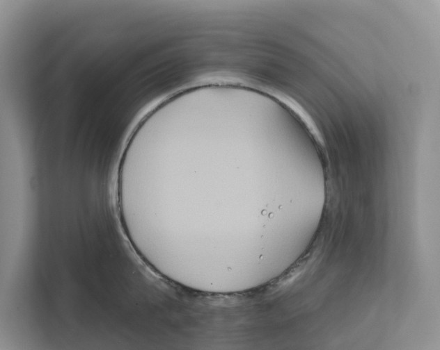 X0000111820815200909031449