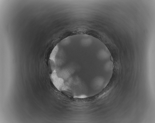 X0000111820818200909031448