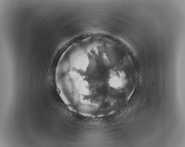 X0000111820823200909031448