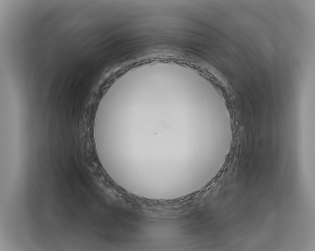 X0000111820824200909031448