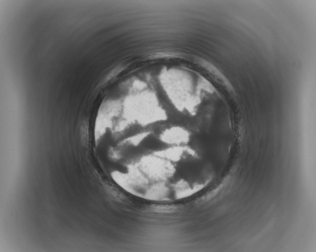 X0000111820825200909031449