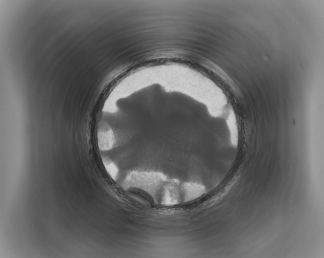 X0000111820826200909031449