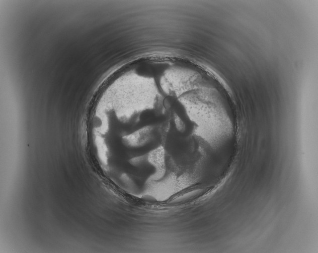 X0000111820829200909031449