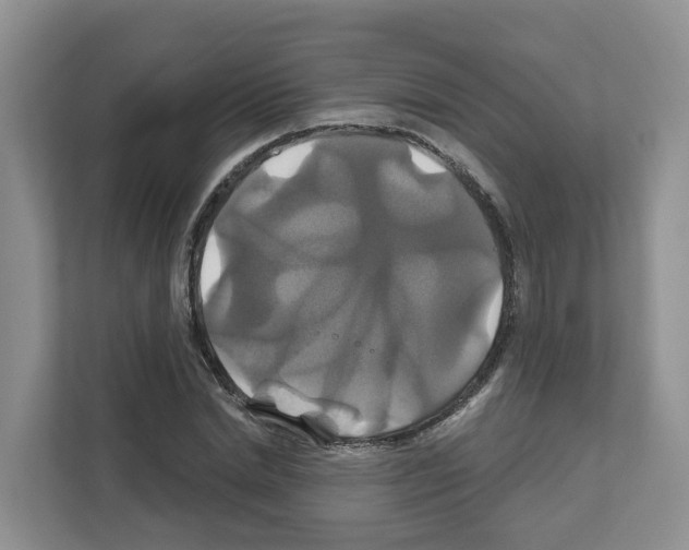 X0000111820830200909031449