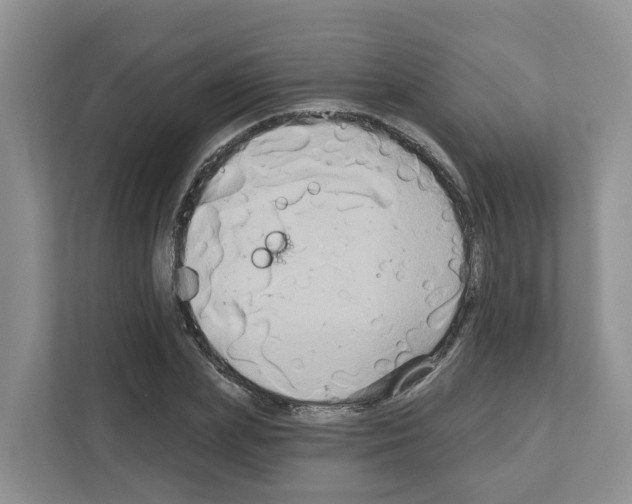X0000111820831200909031449