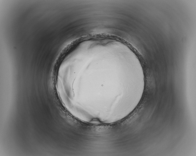 X0000111820832200909031449