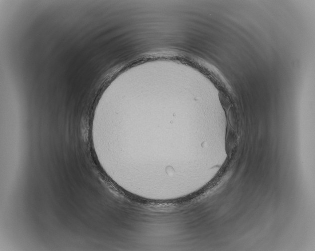X0000111820833200909031449