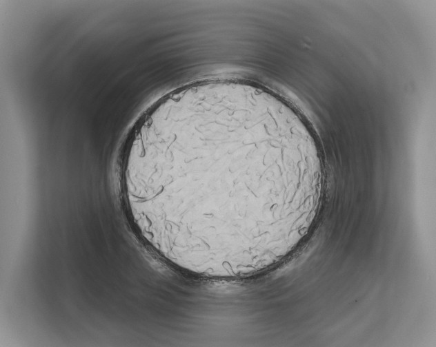 X0000111820835200909031449