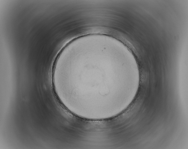 X0000111820836200909031449