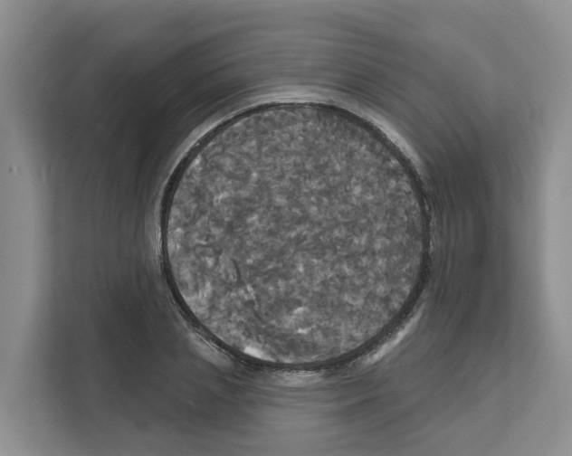 X0000111820837200909031449