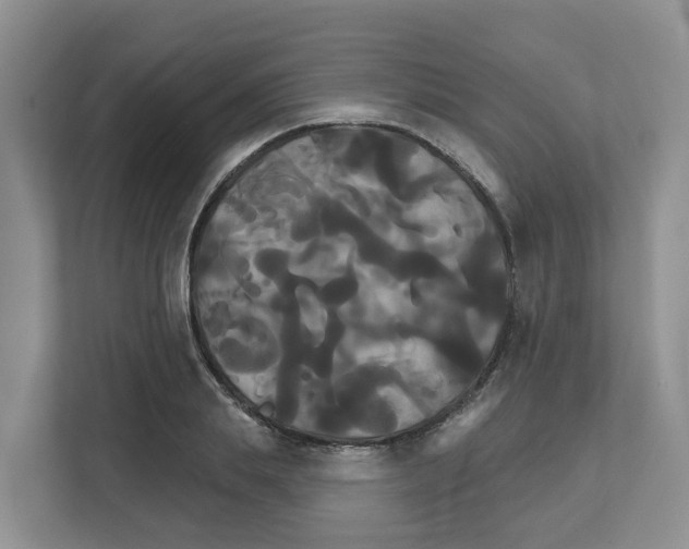 X0000111820839200909031449