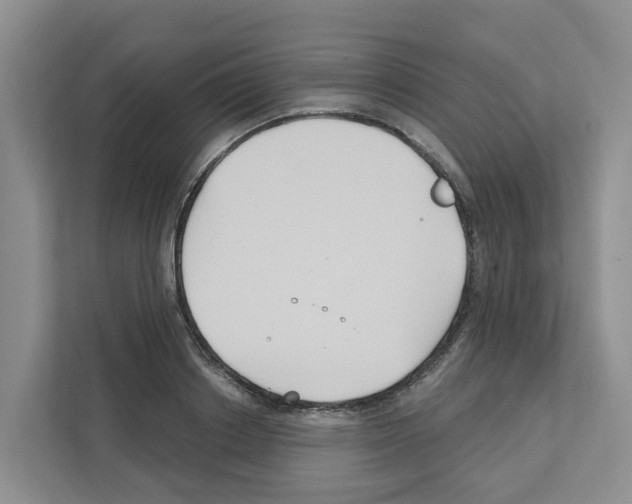 X0000111820842200909031449
