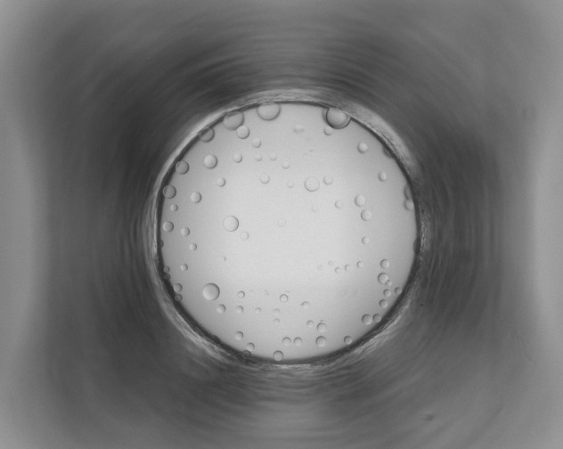 X0000111820844200909031449