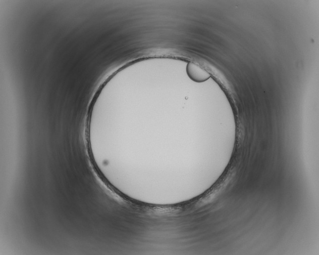 X0000111820847200909031449